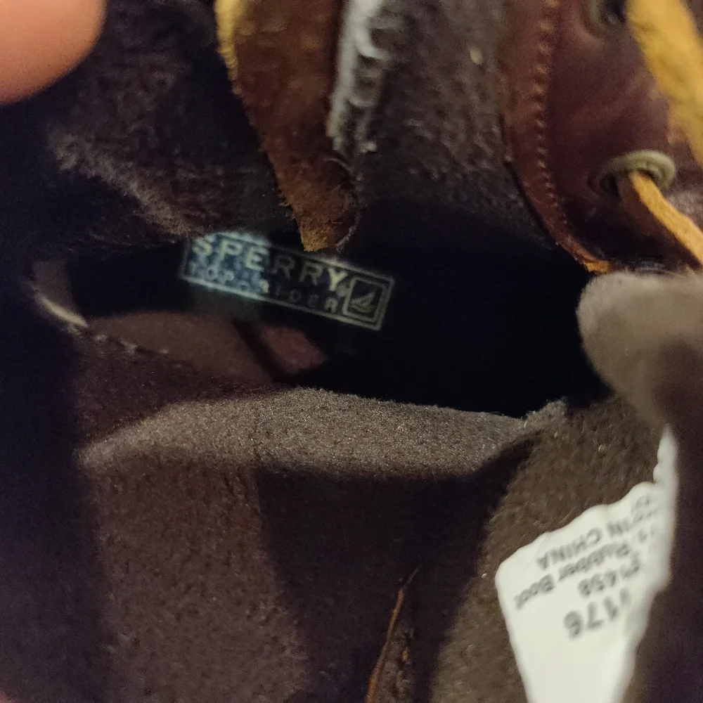 Sperry let this
